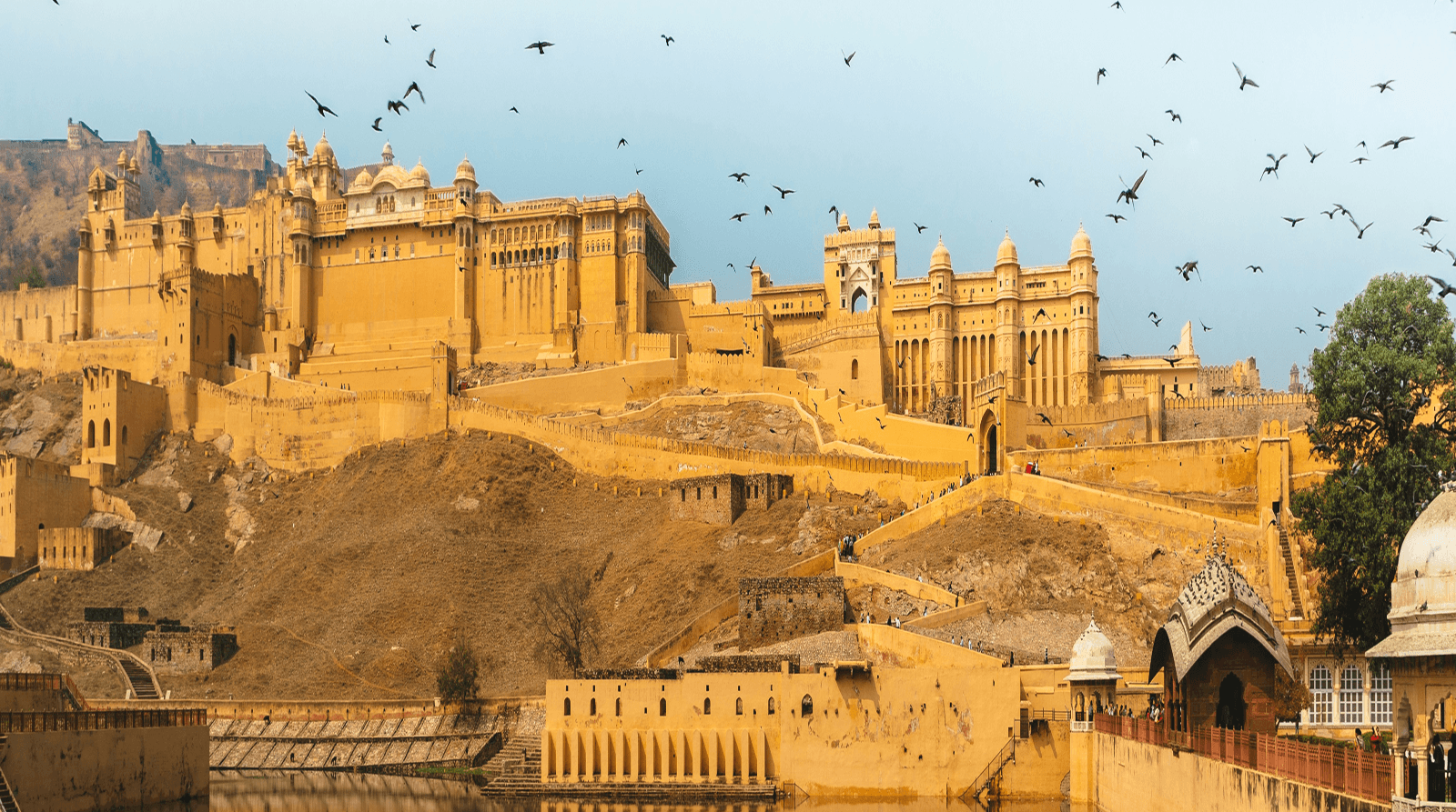 7 Days in Rajasthan - Image 3