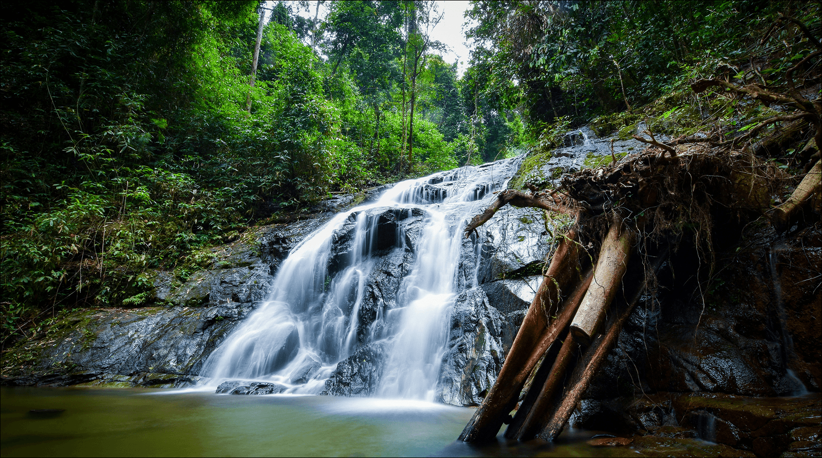6 Days in Thailand - Image 5