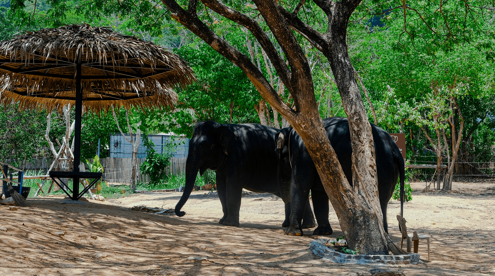 6 Days in Thailand - Image 3