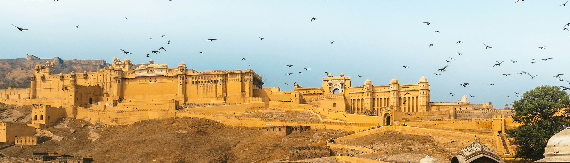 Rajasthan MICE Tour 7D/6N