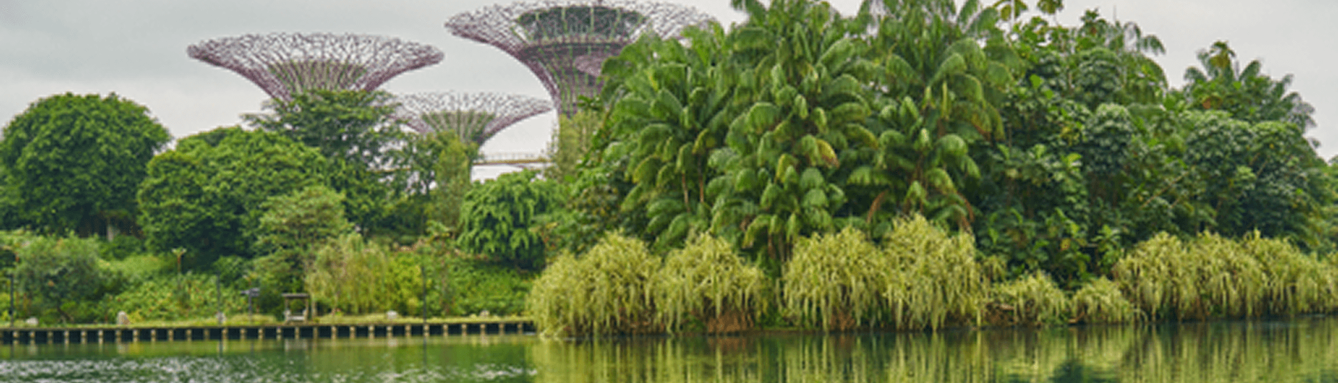 Singapore Mice Tour