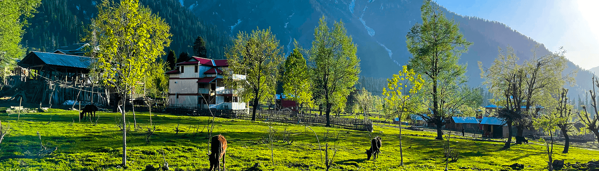 Himachal Shimla - Manali MICE Tour: 05 Nights / 06 Days