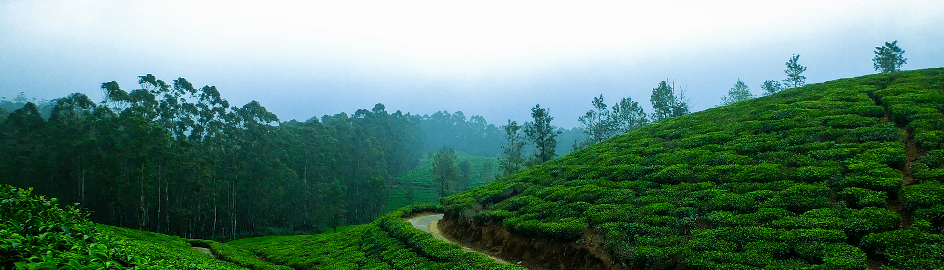 Sri Lanka 6 Night - 7 Days