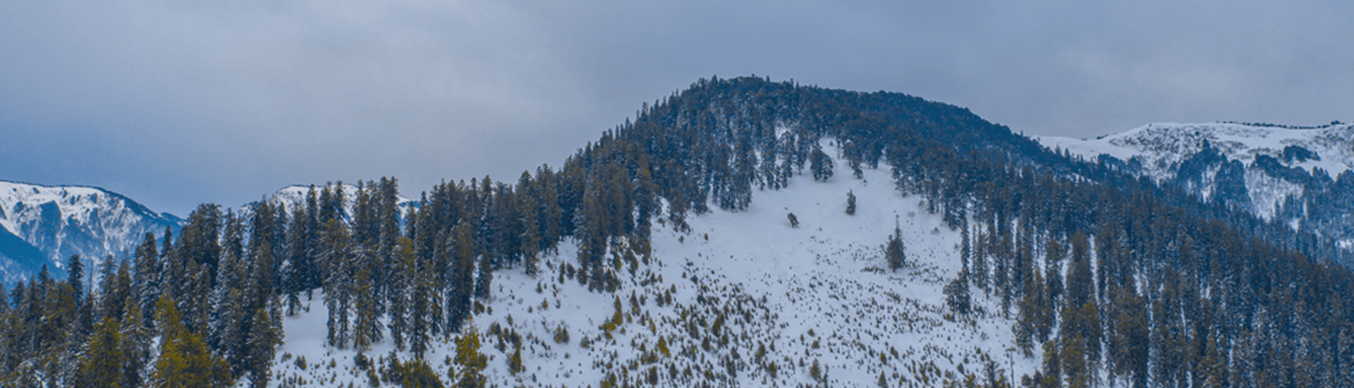 Himachal Shimla - Kasol - Manali - Dharamshala - Dalhousie: 08 Nights / 09 Days