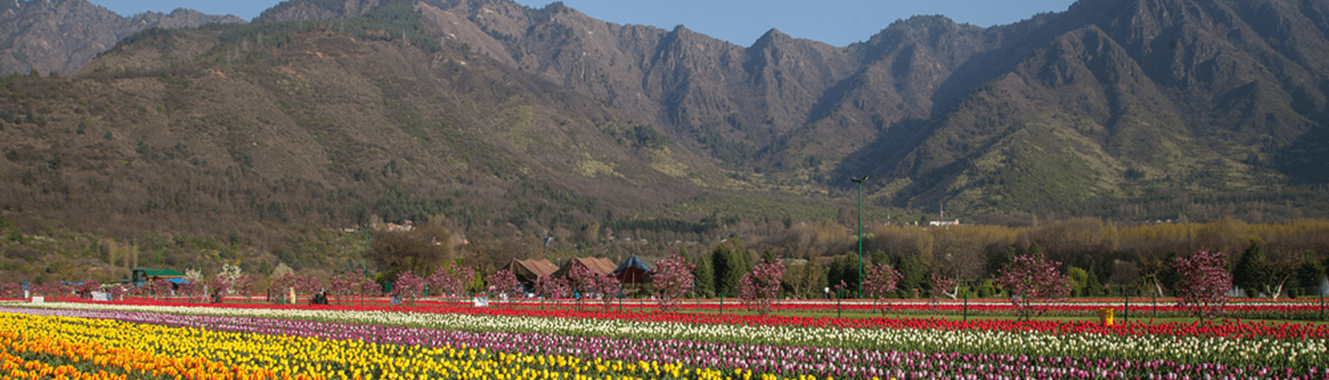 KASHMIR TOUR PACKAGE : 04 NIGHTS / 05 DAYS