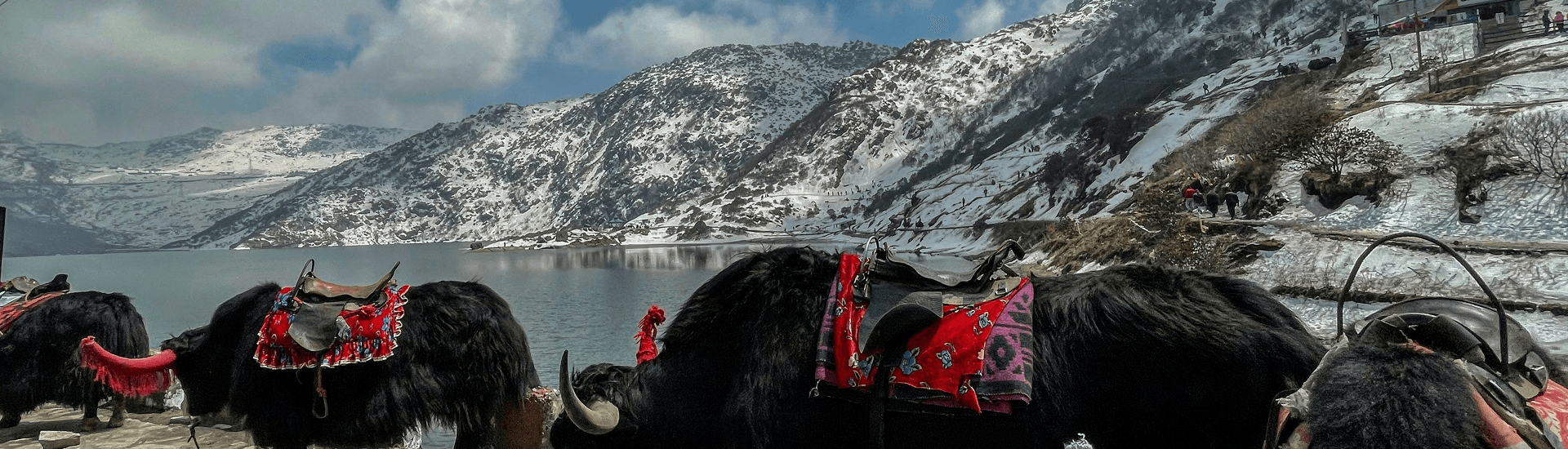 7 Nights / 8 Days Sikkim Packages